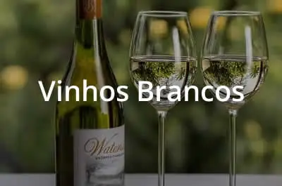 Vinhos Brancos